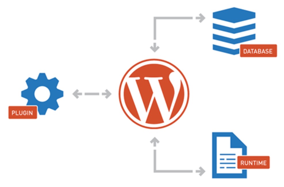 wordpress caching with run time