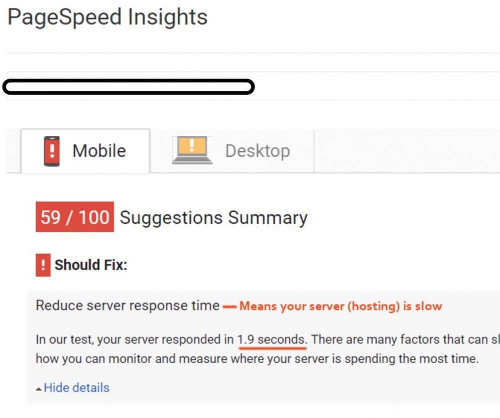 google page speed show your site hosting server slow