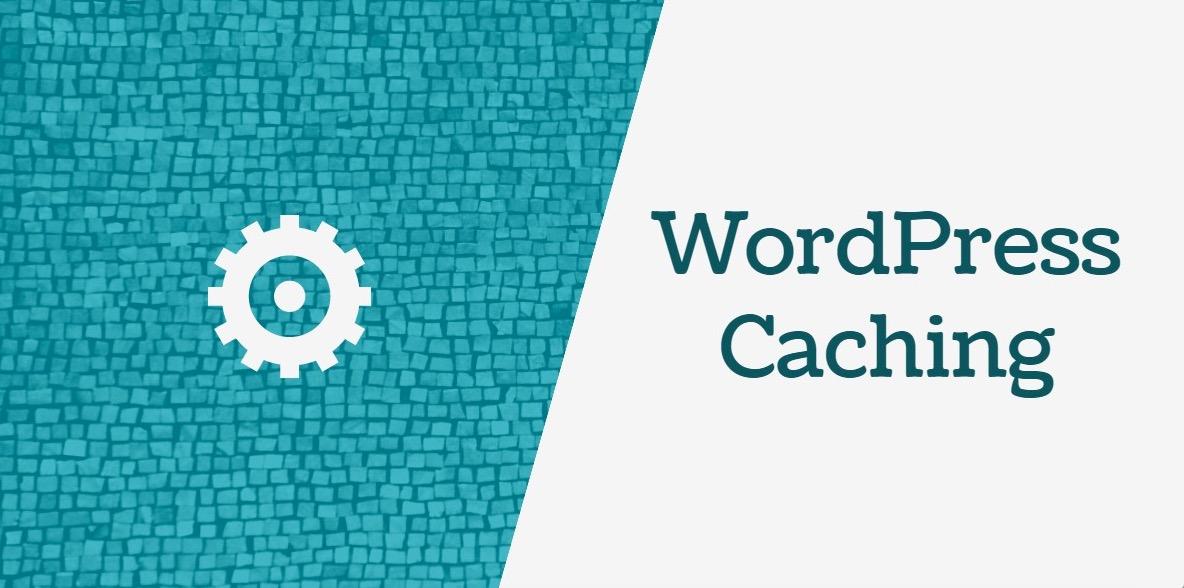 Advantages and Disadvantages of Top 3 most popular WordPress cache Plugins